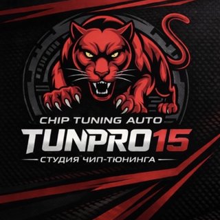 ТюнПро15 - Чип-Тюнинг авто